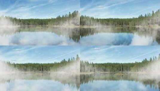 云雾森林湖面湖泊高清在线视频素材下载