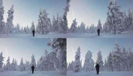 芬兰北极圈拉普兰雪林中探索风景的年轻女子高清在线视频素材下载