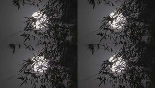 月亮竹叶高清在线视频素材下载