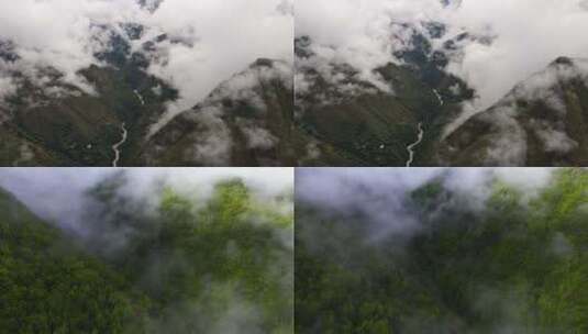 秦岭森林云海山川河流云雾生态高清在线视频素材下载
