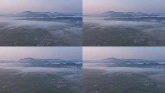 茶园清晨平流雾航拍高清在线视频素材下载