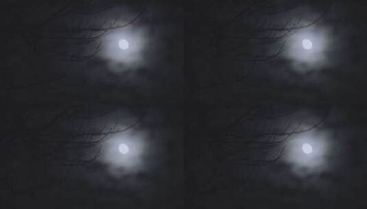月亮挂在天上高清在线视频素材下载