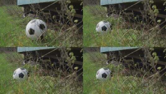 足球被扔到小屋前的慢镜头高清在线视频素材下载