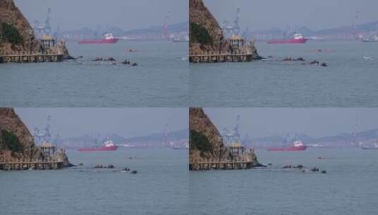 滨海景区凉亭远处的海港60帧高清在线视频素材下载