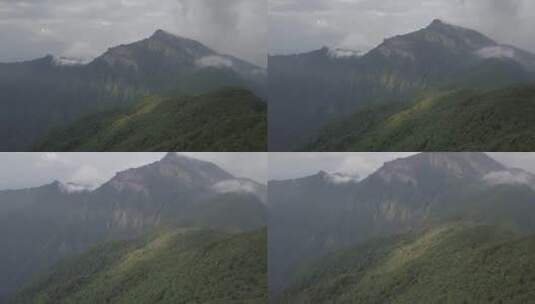 贵州梵净山树木山峦光线高清在线视频素材下载