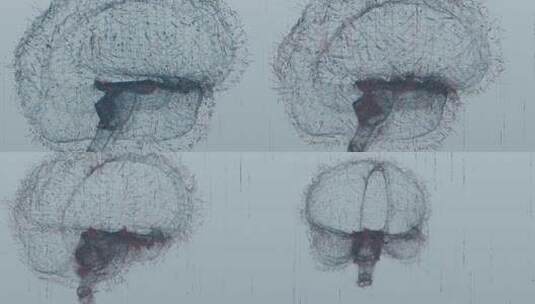 医学 大脑 脑科学 三维 脑ct1 模型高清在线视频素材下载