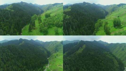 大山与森林高清航拍素材-02（1080P）高清在线视频素材下载