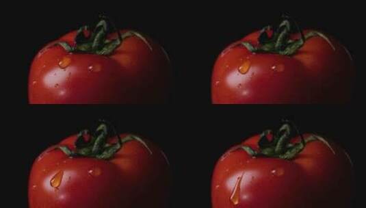 番茄上的水滴高清在线视频素材下载