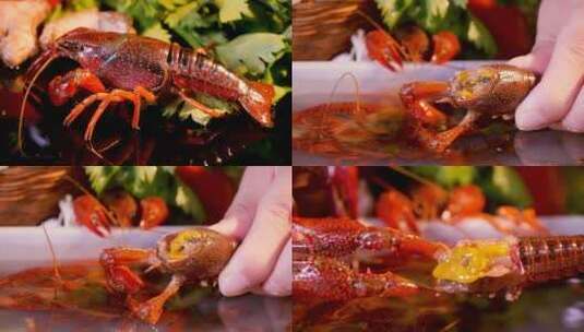 新鲜小龙虾高清在线视频素材下载