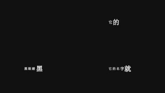 王力宏-龙的传人歌词视频素材高清在线视频素材下载