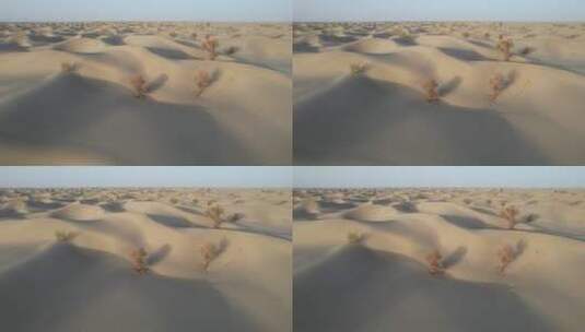 原创 新疆塔克拉玛干沙漠地貌自然风光航拍高清在线视频素材下载