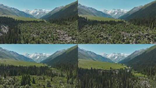 航拍森林丛林雪山风景高清在线视频素材下载