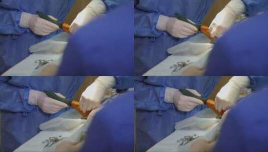 在兽医诊所对狗的爪子进行手术。高清在线视频素材下载