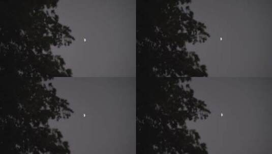 月亮树林弯月树木风吹树叶森林夜空天空黑夜高清在线视频素材下载