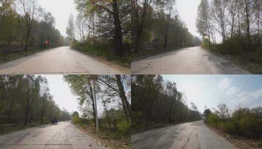 秋天城市道路开车第一视角  记录仪视角高清在线视频素材下载