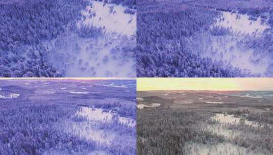 大兴安岭冬季林海雪原松林高清在线视频素材下载