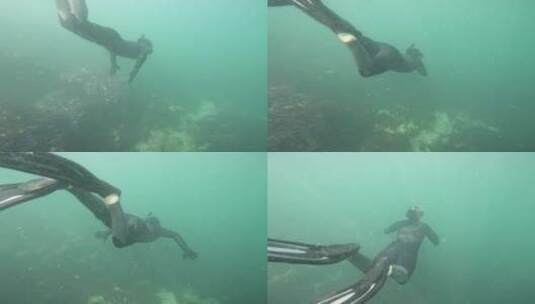 正在海底潜水游泳的爱好者高清在线视频素材下载