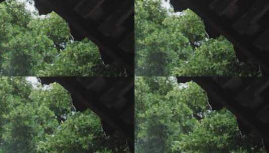 泉州开元寺屋檐雨滴雨水雨天高清在线视频素材下载