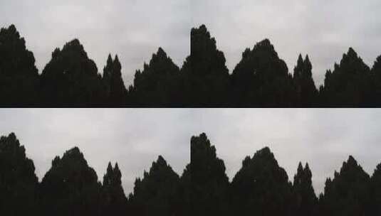 阴天松树剪影树林高清在线视频素材下载