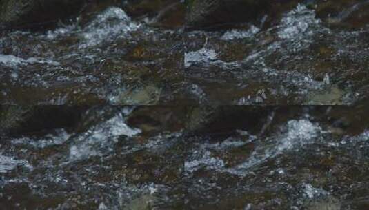 山涧流水小河溪流水质高清在线视频素材下载