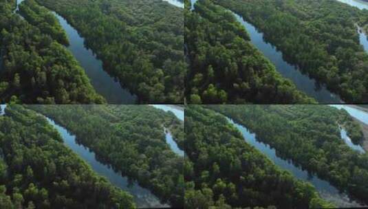 绿色生态环境河流森林湿地风景高清在线视频素材下载