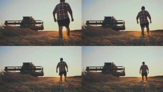 剪影一个男性农民在夕阳下走在麦田里高清在线视频素材下载