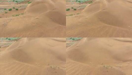 沙漠探寻从库布其开始高清在线视频素材下载