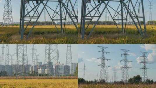 高压线输电塔秋季稻田地水稻高清在线视频素材下载