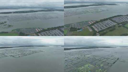 航拍苏州阳澄湖大闸蟹蟹田养殖阳澄湖风光高清在线视频素材下载