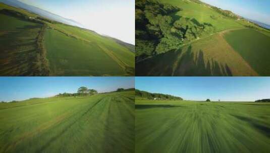 苏格兰农场森林草地牧场FPV穿越机无人机高清在线视频素材下载
