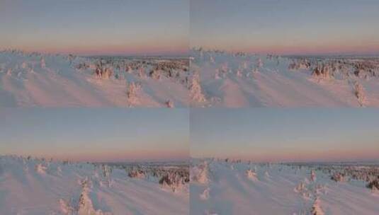 雪景  雪雾 松林高清在线视频素材下载