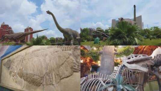 自然资源博物馆恐龙化石骨架高清在线视频素材下载