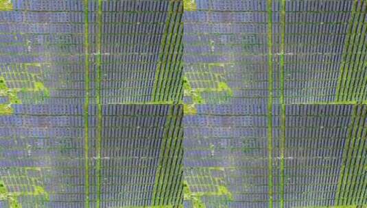 光伏新能源乡村振兴高清在线视频素材下载