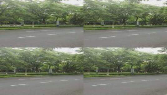 竖版航拍城市大道绿树成荫实拍交通高清在线视频素材下载