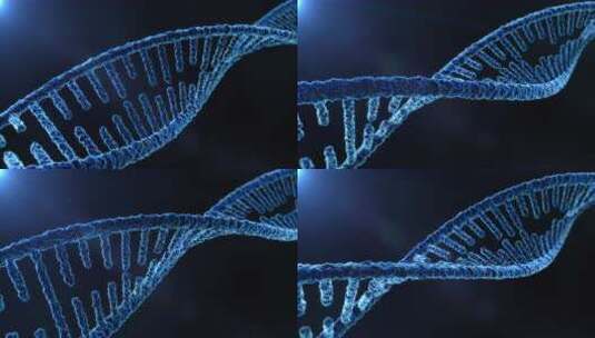 DNA分子结构4K高清在线视频素材下载