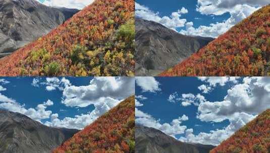 无人机航拍西藏林芝地区高山上的一抹秋景高清在线视频素材下载