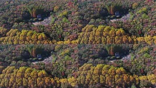 江苏南京中山陵灵山风景区音乐台秋色航拍高清在线视频素材下载