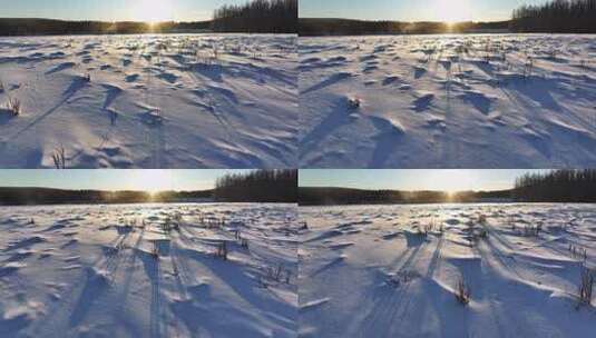 冬天阿尔山日出雪景寒冷雪花特写微缩景观高清在线视频素材下载