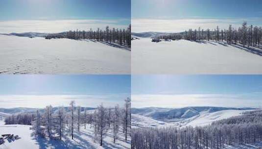 雪后山地树林全景自然风光高清在线视频素材下载