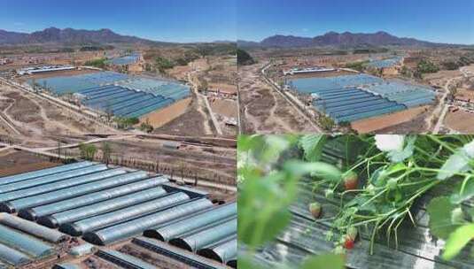 乡村蔬菜大棚 现代农业科技大棚种植高清在线视频素材下载