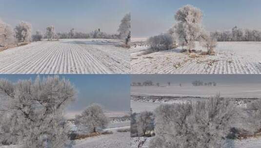 雪后田野间银装素裹的景象高清在线视频素材下载