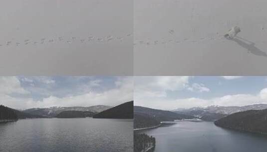 航拍LOG3普达措国家公园雪景合集4K-2高清在线视频素材下载