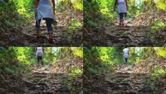 一名妇女在森林中爬山高清在线视频素材下载