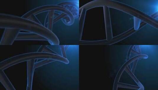 DNA双螺旋高清在线视频素材下载