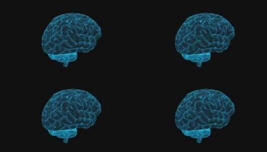 人类大脑数字高清在线视频素材下载