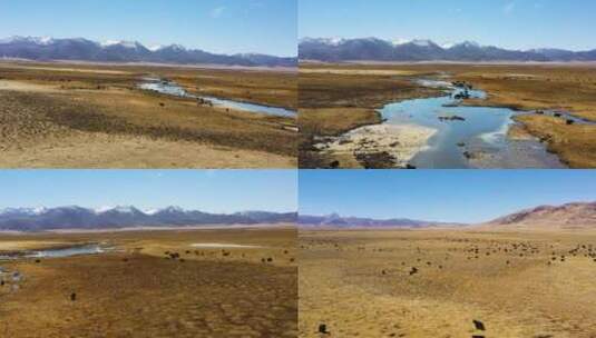 4K青藏高原草原航拍素材高清在线视频素材下载