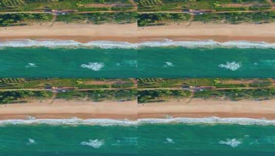 竖屏航拍海南万宁神州半岛大海海浪拍打沙滩高清在线视频素材下载