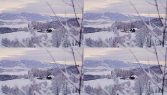 美丽的雪景高清在线视频素材下载