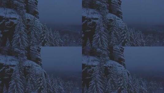 美丽的大自然冬天 高山森林树林雪景特写高清在线视频素材下载