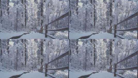 情侣欢乐地从大雪覆盖的峨眉山登山步道下山高清在线视频素材下载